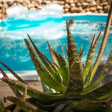 Glamping Rock Oak Glamping 3