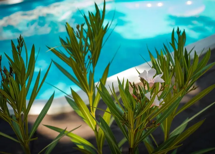 Rock Oak Glamping 3 Luxuszelt